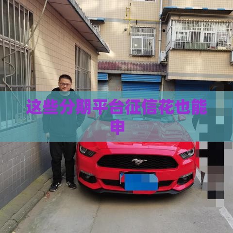 这些分期平台征信花也能申