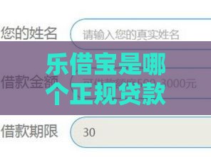 乐借宝是哪个正规贷款平台？申请流程和避坑指南全解析