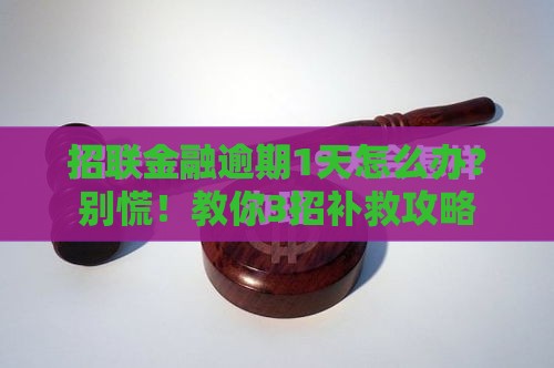 招联金融逾期1天怎么办？别慌！教你3招补救攻略