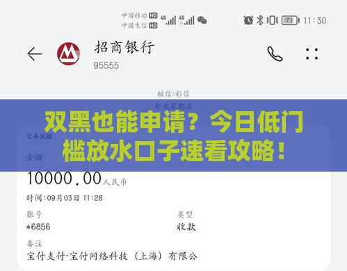 双黑也能申请？今日低门槛放水口子速看攻略！