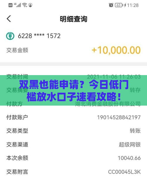 双黑也能申请？今日低门槛放水口子速看攻略！