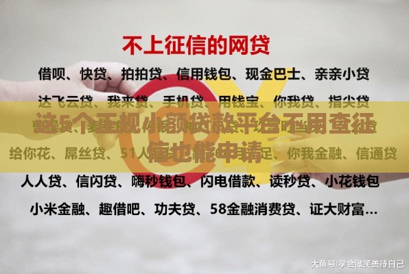 这5个正规小额贷款平台不用查征信也能申请