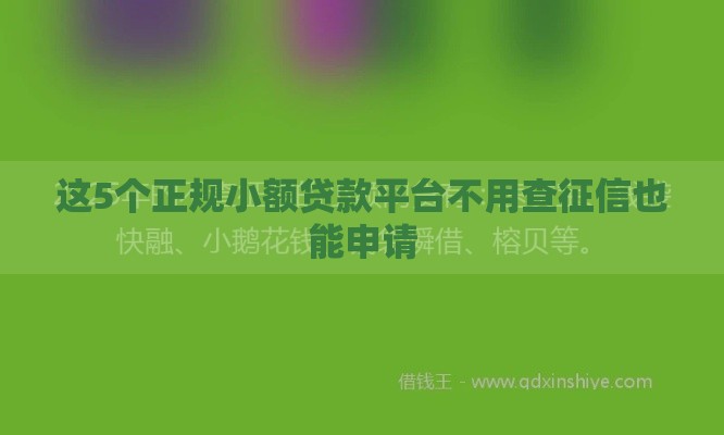 这5个正规小额贷款平台不用查征信也能申请