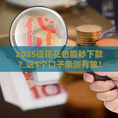 2025征信花也能秒下款？这5个口子亲测有效！