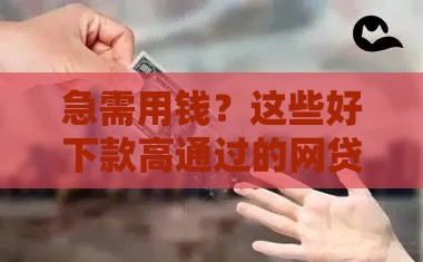 急需用钱？这些好下款高通过的网贷平台，轻松解决资金难题！