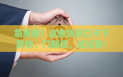 急用钱？这些贷款口子下款快、门槛低，试试看！