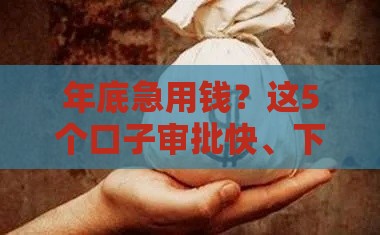 年底急用钱？这5个口子审批快、下款稳！