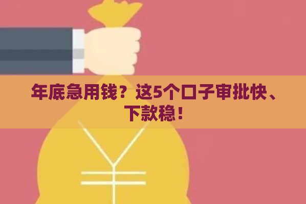 年底急用钱？这5个口子审批快、下款稳！