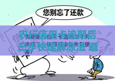 农行信用卡逾期后三步快速解冻法 避免影响征信！