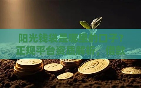 阳光钱袋是哪里的口子？正规平台资质解析，借款前必看这几点！