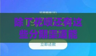 除了花呗还有这些分期渠道能救急