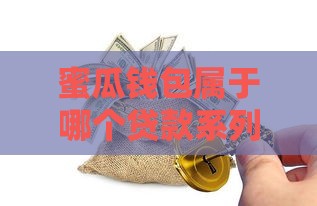 蜜瓜钱包属于哪个贷款系列？深度解析口子类型与使用技巧