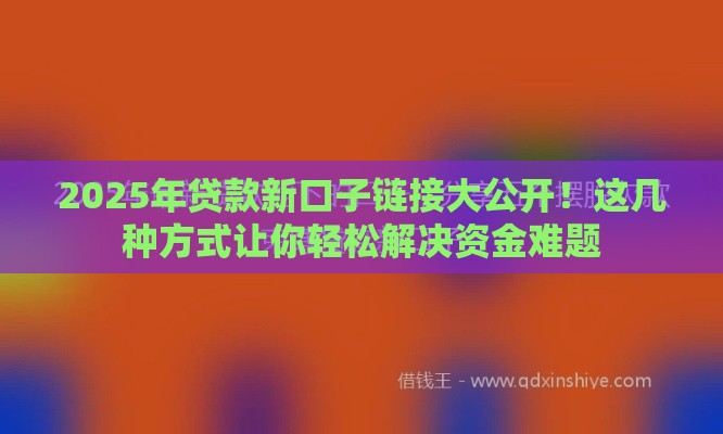 2025年贷款新口子链接大公开！这几种方式让你轻松解决资金难题