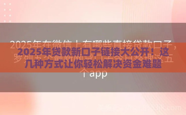 2025年贷款新口子链接大公开！这几种方式让你轻松解决资金难题