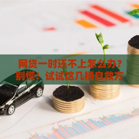 网贷一时还不上怎么办？别慌！试试这几招自救方法