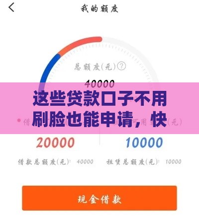这些贷款口子不用刷脸也能申请，快速到账超省心