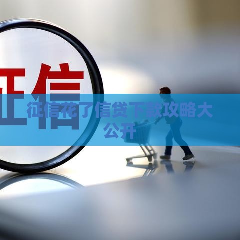 征信花了信贷下款攻略大公开