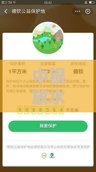 中银放水口子怎么申请？这份攻略讲透了