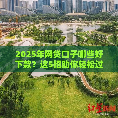 2025年网贷口子哪些好下款？这5招助你轻松过审不踩坑