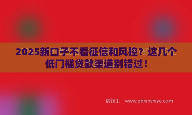 2025新口子不看征信和风控？这几个低门槛贷款渠道别错过！
