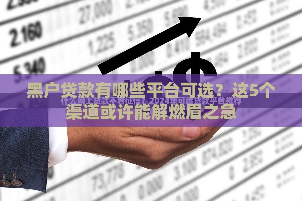 黑户贷款有哪些平台可选？这5个渠道或许能解燃眉之急