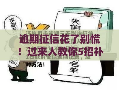 逾期征信花了别慌！过来人教你5招补救技巧