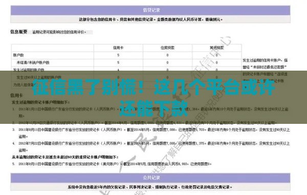 征信黑了别慌！这几个平台或许还能下款