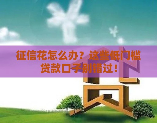 征信花怎么办？这些低门槛贷款口子别错过！