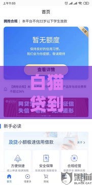 白猫贷到底有没有下款？亲身实测+避坑指南，速看！