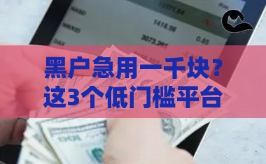 黑户急用一千块？这3个低门槛平台或许能帮到你！