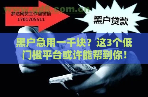 黑户急用一千块？这3个低门槛平台或许能帮到你！