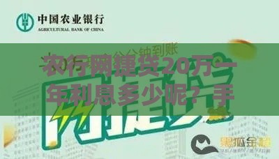 农行网捷贷20万一年利息多少呢？手把手教你算清成本，这样申请更划算！
