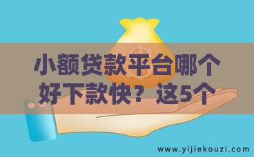 小额贷款平台哪个好下款快？这5个渠道当天到账