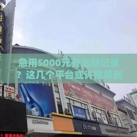 急用5000元有逾期记录？这几个平台或许能帮到你！