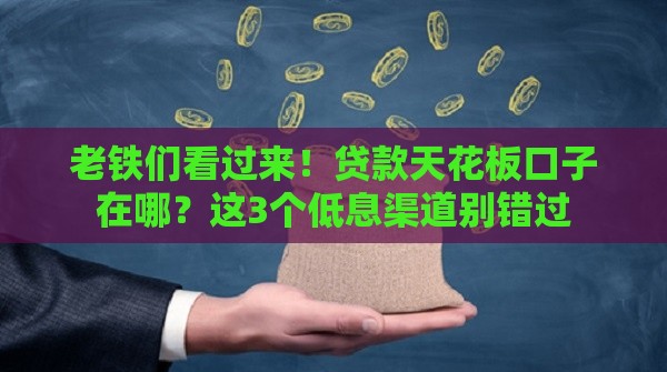 老铁们看过来！贷款天花板口子在哪？这3个低息渠道别错过