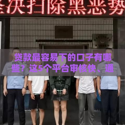 贷款最容易下的口子有哪些？这5个平台审核快、通过率高！