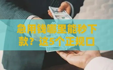 急用钱哪里能秒下款？这5个正规口子靠谱又省心！