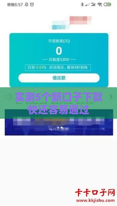 实测5个新口子下款快还容易通过