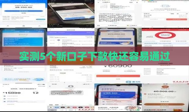 实测5个新口子下款快还容易通过