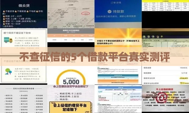 不查征信的5个借款平台真实测评