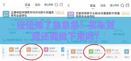 征信黑了急急急！买车贷款还能批下来吗？
