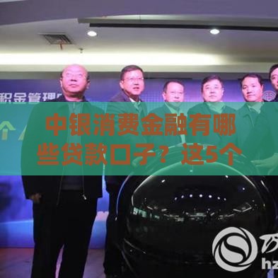 中银消费金融有哪些贷款口子？这5个产品靠谱吗，怎么选最划算