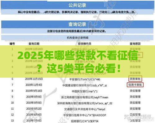 2025年哪些贷款不看征信？这5类平台必看！
