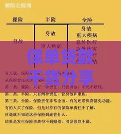 保单贷款干货分享：看完秒懂这5个关键点