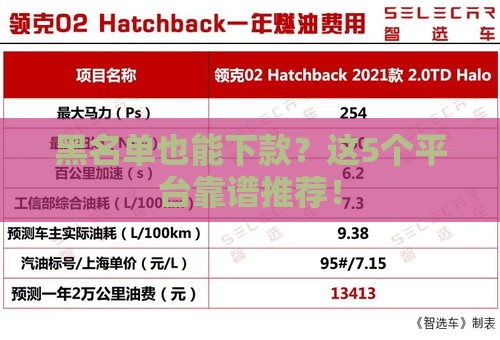 黑名单也能下款？这5个平台靠谱推荐！