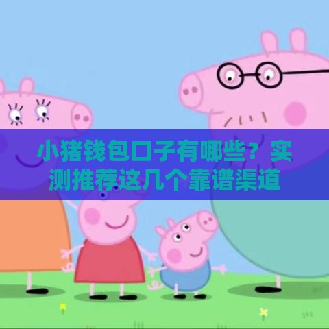 小猪钱包口子有哪些？实测推荐这几个靠谱渠道