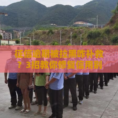 征信逾期被拉黑咋补救？3招教你修复信用别慌！