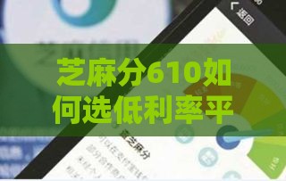 芝麻分610如何选低利率平台？别急，试试这5个技巧