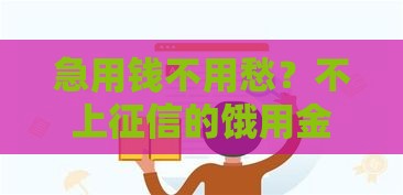 急用钱不用愁？不上征信的饿用金，真的靠谱吗？贷款必看攻略来啦！