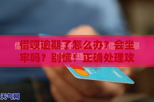 借呗逾期了怎么办？会坐牢吗？别慌！正确处理攻略来了！